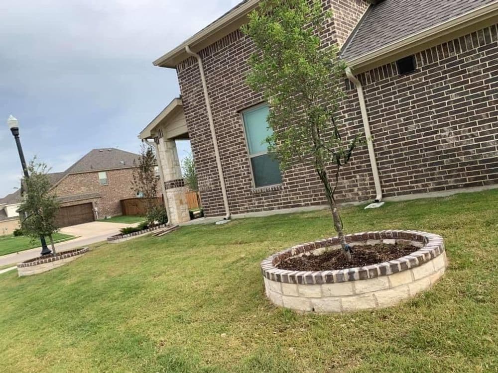 Newly landscaped yard with a brick-bordered tree bed and healthy young tree beside a modern home.
